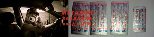 прущие грибы Алзамай
