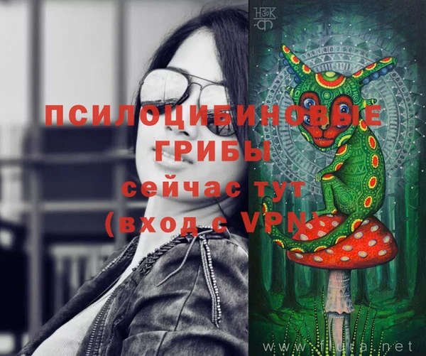 прущие грибы Алзамай