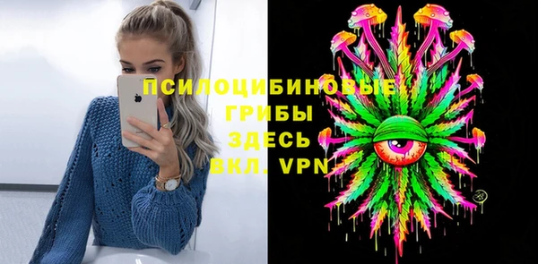 прущие грибы Алзамай