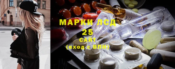 прущие грибы Алзамай