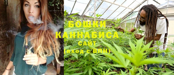 прущие грибы Алзамай